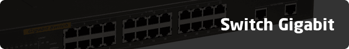 Switch Gigabit