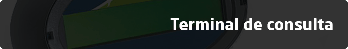 Terminal de consulta