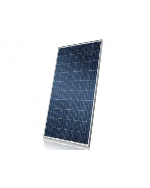 CS6P-255P - Centrium Energy - Painél solar Canadian 255W