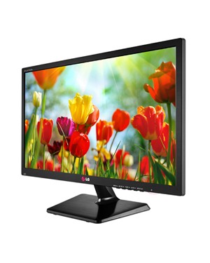 20EN33SS-M.AWZ - LG - Monitor LED LCD 19.5in 1600x900 60Hz