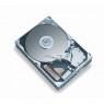 411276-B21 - HP - Disco rígido HD 250GB 1.5G SATA 7.2K rpm LFF (3.5-inch) Non-hot Plug 1yr Warranty Hard Drive