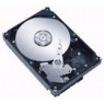 43W7666 - IBM - HD disco rigido 2.5pol SATA 300GB 10000RPM