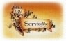 44J8621 - IBM - ServicePac SD446