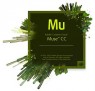 65224727BA01A12 - Adobe - Software/Licença Muse CC