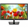 MONITOR 20EN33SS-B - LG - Monitor LED 19.5 LCD Wide