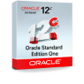 L10312 - Outros - Software DataBase Standart Edition One CPU Português Licença Perpetua Oracle