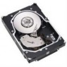 ST3146855LC-20PK - Seagate - HD disco rigido Cheetah SCSI 1468GB 15000RPM