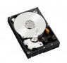 ST3160023AS - Seagate - HD disco rigido 3.5pol Desktop HDD SATA 160GB 7200RPM