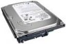 ST3500418AS-25PK - Seagate - HD disco rigido Desktop HDD SATA 500GB 7200RPM