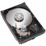 ST380013AS-RK - Seagate - HD disco rigido Desktop HDD 80GB 7200RPM