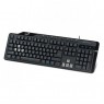 31310055108 - Outros - Teclado USB KB-G255 Genius