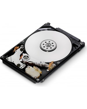 DELL-1000NLSA/7-BWC - Origin Storage - Disco rígido HD 1TB 7200RPM 3.5" NLSATA