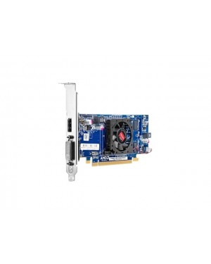 QM229AA - HP - Placa de Video AMD Radeon HD 6450