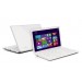 PSCGAE-04G00FBT - Toshiba - Notebook Satellite C55-A-1E2