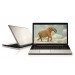 PSKRYE-00200KGR - Toshiba - Notebook Satellite L70-B-14Z