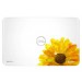 QLID-6493 - DELL - Queen Daisy