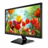 20EN33SS-M.AWZ - LG - Monitor LED LCD 19.5in 1600x900 60Hz